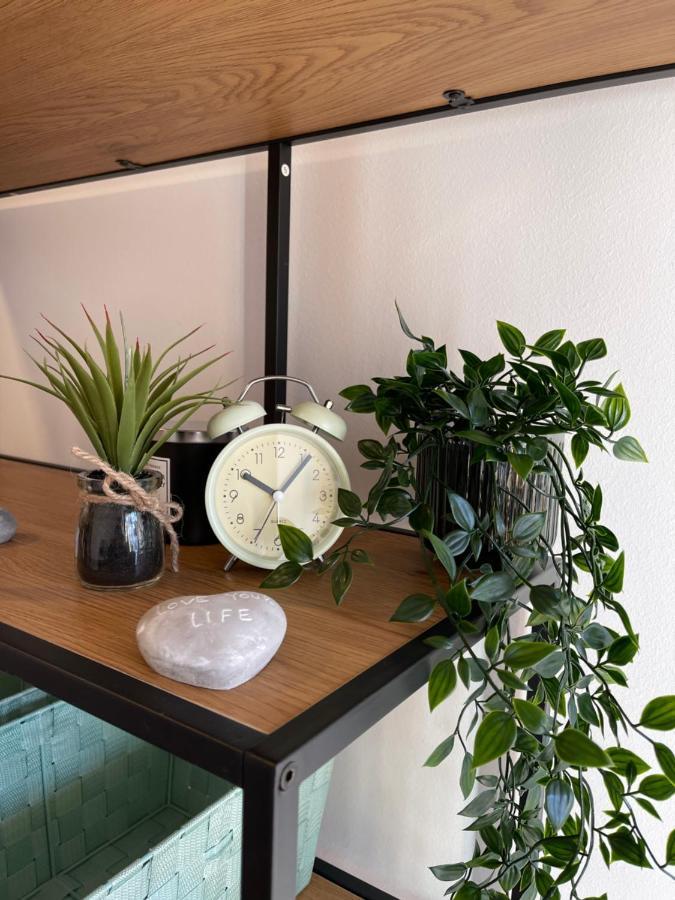 אלטמונסטר Bergglueck - Gemuetliches Appartement Am Traunsee מראה חיצוני תמונה